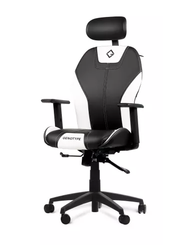 Silla Pc Gamer Genotype G-rise Reclinable Apoyabrazos Regulables En Altura Colores